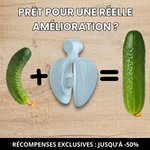 Charger l'image dans la galerie, BoostPelv™: Reprenez le contrôle de vos performances masculines – en seulement 7 jours
